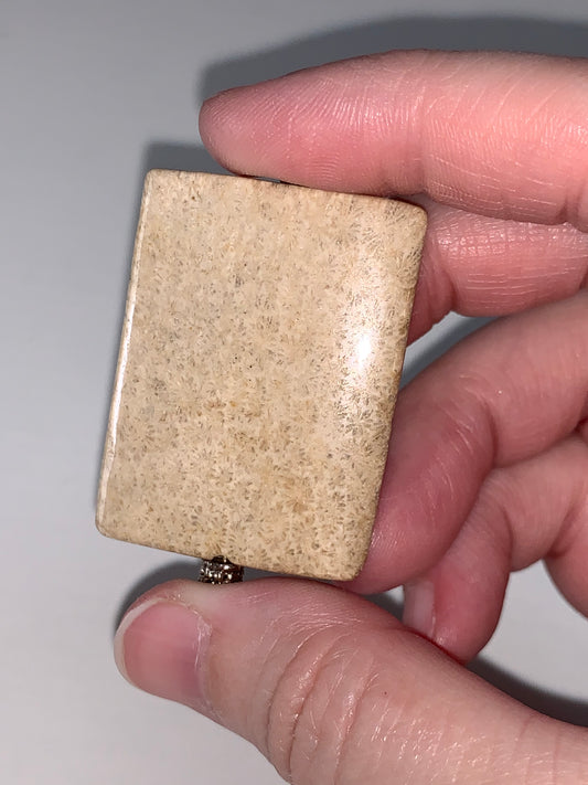 Fossilized Coral Pendant