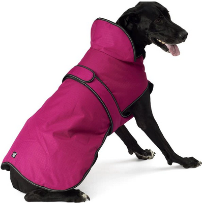 PetRageous Designs Juneau Insulated Dog Jacket