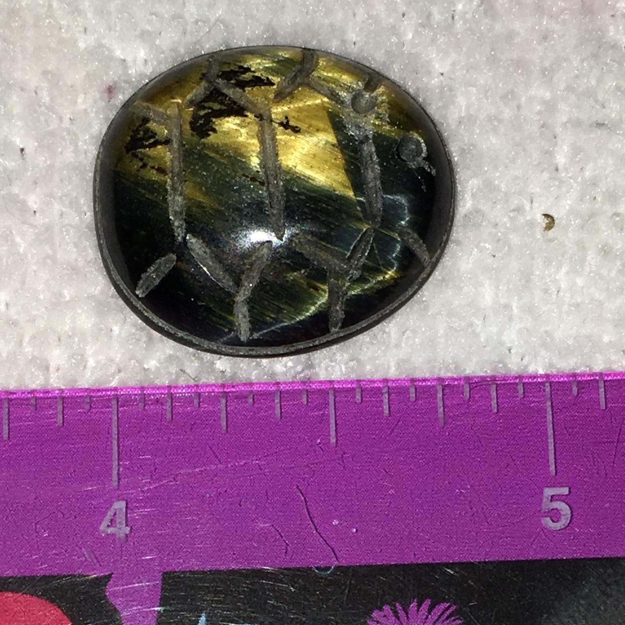 Turtle Design Tigerseye Cabochon